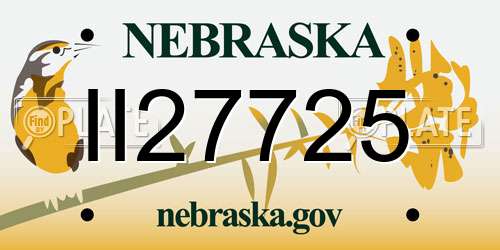 II27725 Nebraska License Plate
