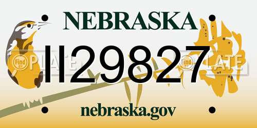 II29827 Nebraska License Plate