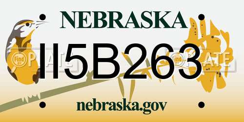 II5B263 Nebraska License Plate