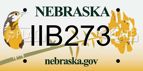 IIB273 Nebraska License Plate