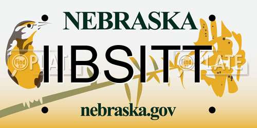 IIBSITT Nebraska License Plate