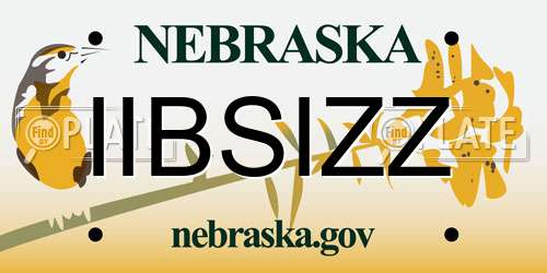 IIBSIZZ Nebraska License Plate