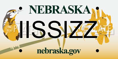 IISSIZZ Nebraska License Plate