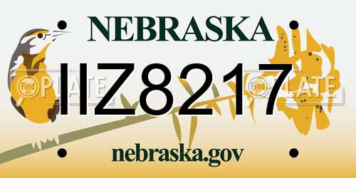IIZ8217 Nebraska License Plate