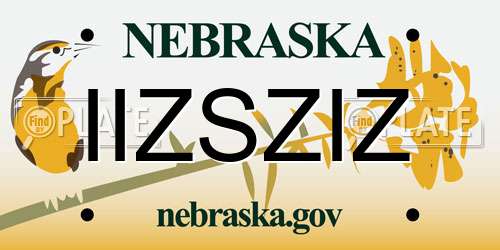 IIZSZIZ Nebraska License Plate