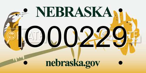 IO00229 Nebraska License Plate