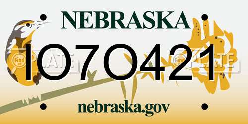 IO7O421 Nebraska License Plate