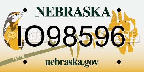 IO98596 Nebraska License Plate
