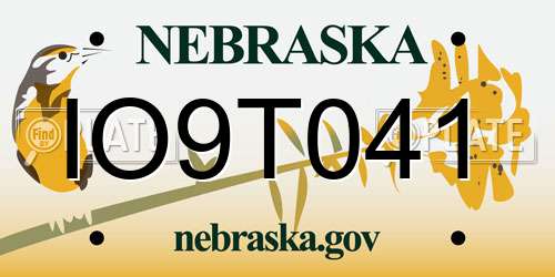 IO9T041 Nebraska License Plate