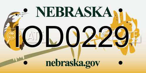 IOD0229 Nebraska License Plate