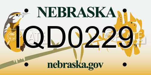 IQD0229 Nebraska License Plate