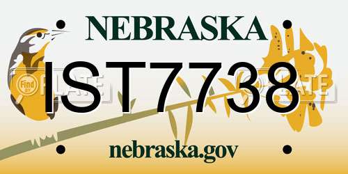 IST7738 Nebraska License Plate