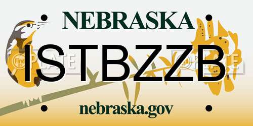 ISTBZZB Nebraska License Plate