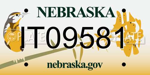 IT09581 Nebraska License Plate