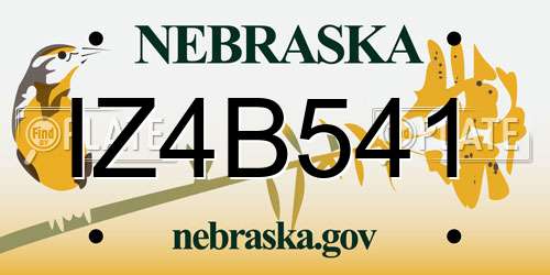 IZ4B541 Nebraska License Plate