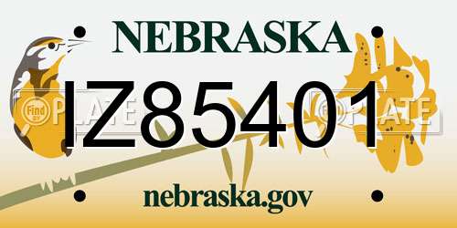 IZ85401 Nebraska License Plate