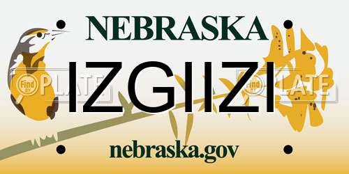 IZGIIZI Nebraska License Plate