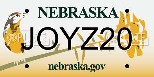 JOYZ20 Nebraska License Plate