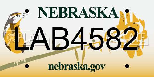 LAB4582 Nebraska License Plate