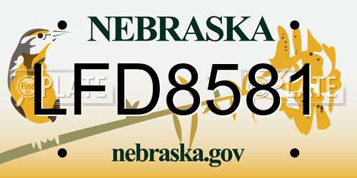 LFD8581 Nebraska License Plate
