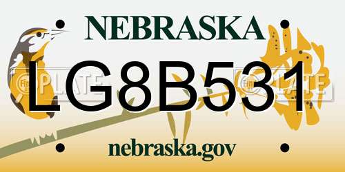 LG8B531 Nebraska License Plate