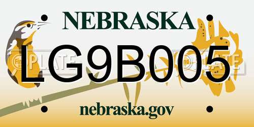 LG9B005 Nebraska License Plate