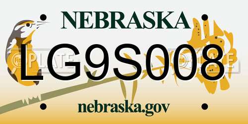 LG9S008 Nebraska License Plate