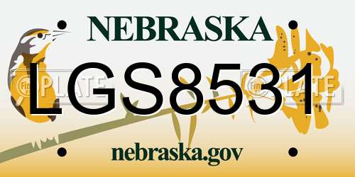 LGS8531 Nebraska License Plate