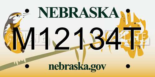 M12134T Nebraska License Plate