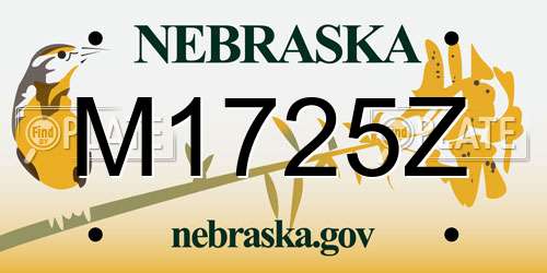 M1725Z Nebraska License Plate