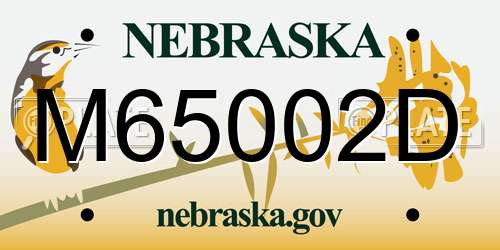 M65002D Nebraska License Plate