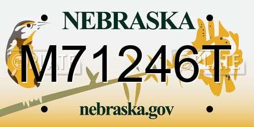 M71246T Nebraska License Plate