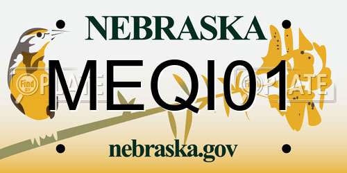 MEQI01 Nebraska License Plate