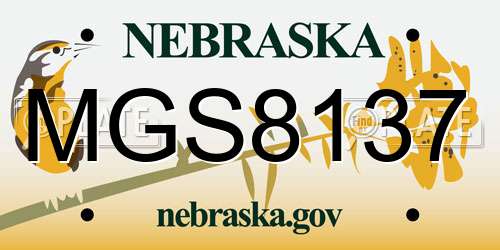 MGS8137 Nebraska License Plate