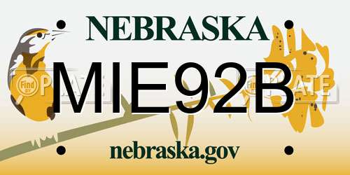 MIE92B Nebraska License Plate