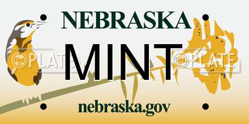 MINT Nebraska License Plate