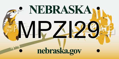 MPZI29 Nebraska License Plate