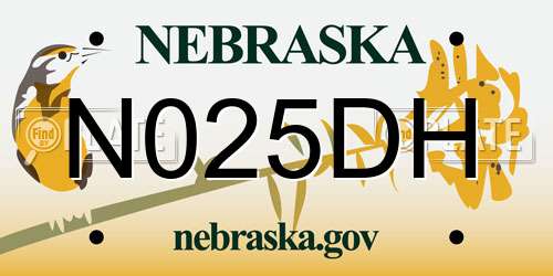 N025DH Nebraska License Plate