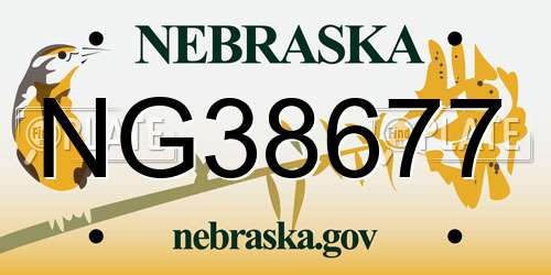 NG38677 Nebraska License Plate