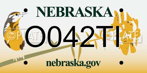 O042TI Nebraska License Plate