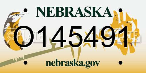 O145491 Nebraska License Plate