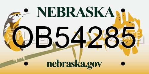 OB54285 Nebraska License Plate