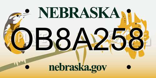 OB8A258 Nebraska License Plate