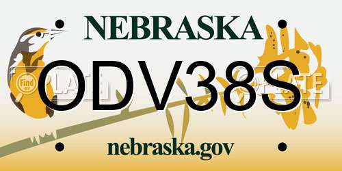 ODV38S Nebraska License Plate