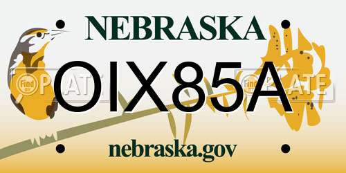 OIX85A Nebraska License Plate