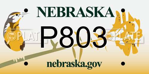P803 Nebraska License Plate