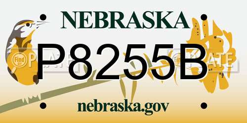 P8255B Nebraska License Plate