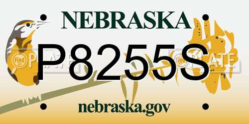 P8255S Nebraska License Plate