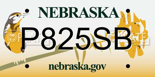 P825SB Nebraska License Plate