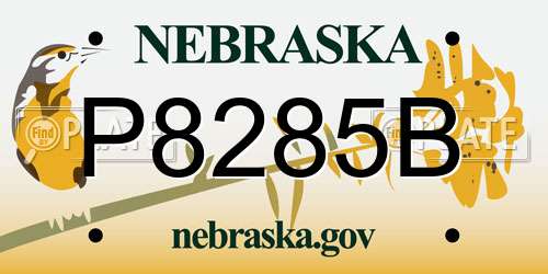 P8285B Nebraska License Plate